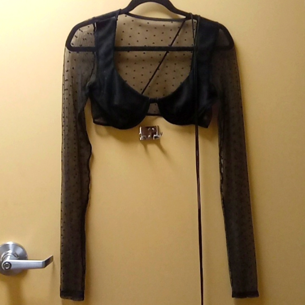Lucy in the sky crop mesh crop top shirt